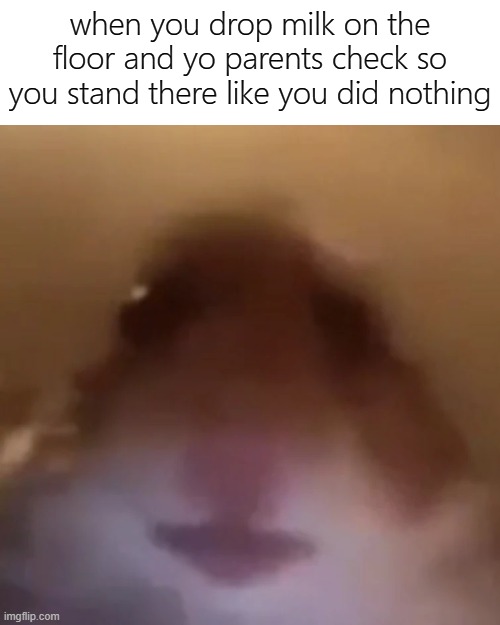 nope | when you drop milk on the floor and yo parents check so you stand there like you did nothing | image tagged in stare,memes,funny,milk,nothing | made w/ Imgflip meme maker
