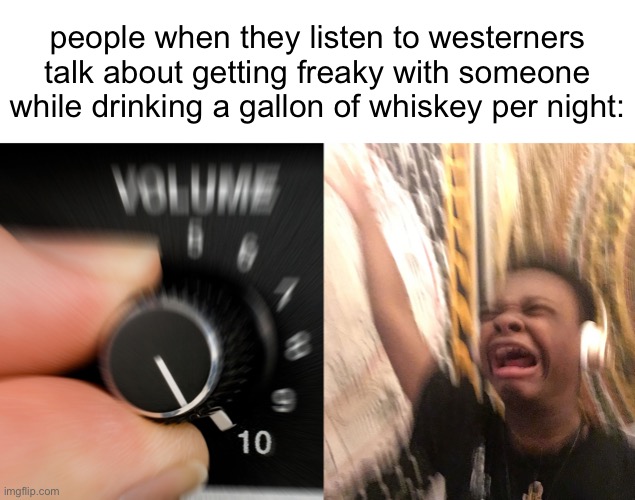 Turn up volume | people when they listen to westerners talk about getting freaky with someone while drinking a gallon of whiskey per night: | image tagged in turn up volume | made w/ Imgflip meme maker