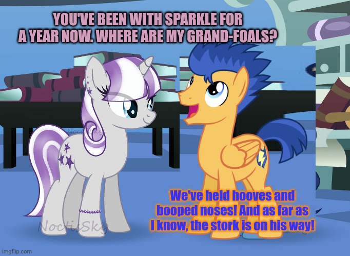 Pony problems | YOU'VE BEEN WITH SPARKLE FOR A YEAR NOW. WHERE ARE MY GRAND-FOALS? We've held hooves and booped noses! And as far as I know, the stork is on | image tagged in mlp,twilight velvet,flash sentry,pony problems | made w/ Imgflip meme maker