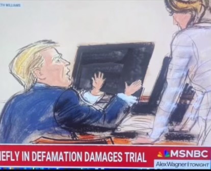 Pedo Donald Trump tiny hands court defamation Blank Meme Template