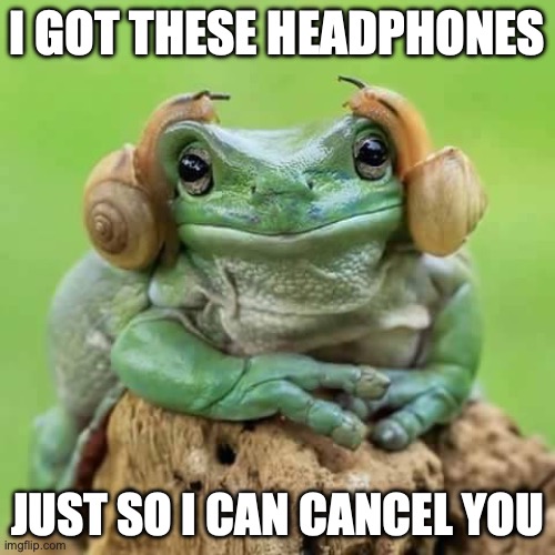 #cancelculture | I GOT THESE HEADPHONES; JUST SO I CAN CANCEL YOU | image tagged in frog wireless headphones | made w/ Imgflip meme maker