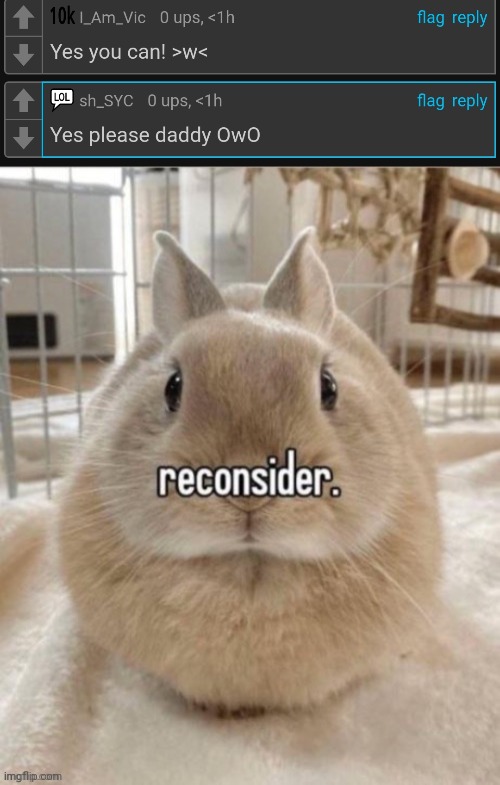 image tagged in reconsider | made w/ Imgflip meme maker