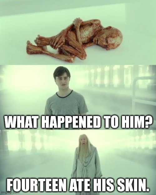 Fourteen strikes again! | WHAT HAPPENED TO HIM? FOURTEEN ATE HIS SKIN. | image tagged in dead baby voldemort / what happened to him | made w/ Imgflip meme maker