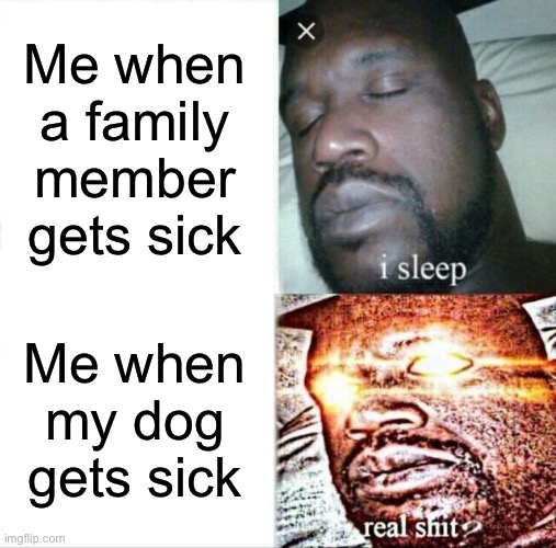I’m actually sick rn so | Me when a family member gets sick; Me when my dog gets sick | image tagged in memes,sleeping shaq | made w/ Imgflip meme maker