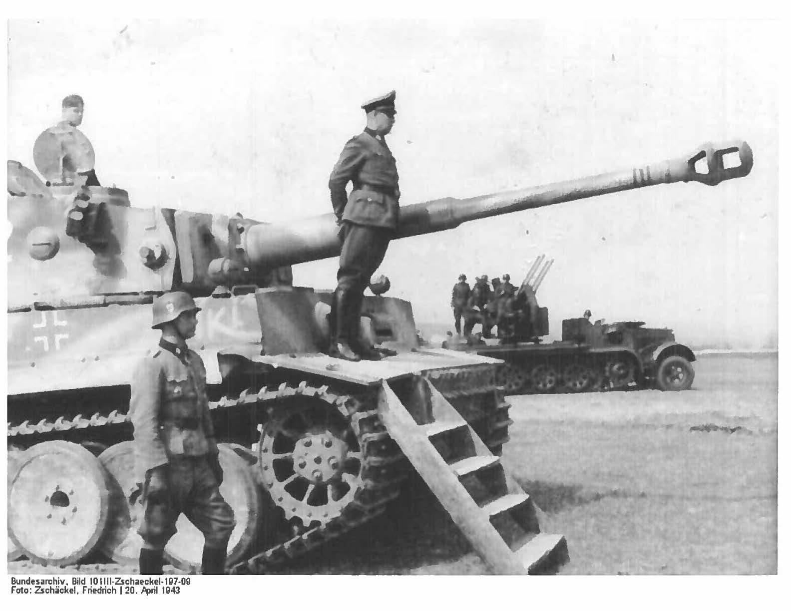 High Quality SS Panzerwaffe TigerAce117 Nazi tank corps Blank Meme Template