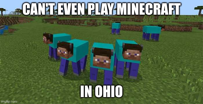 cant even play minecraft in ohio... | CAN'T EVEN PLAY MINECRAFT; IN OHIO | image tagged in me and the boys,minecraft,minecraft memes,ohio,only in ohio | made w/ Imgflip meme maker