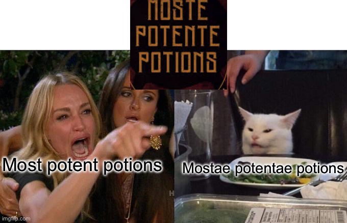 Woman Yelling At Cat | Most potent potions; Mostae potentae potions | image tagged in memes,woman yelling at cat | made w/ Imgflip meme maker