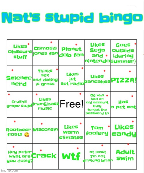 Nat's stupid bingo | image tagged in nat's stupid bingo | made w/ Imgflip meme maker