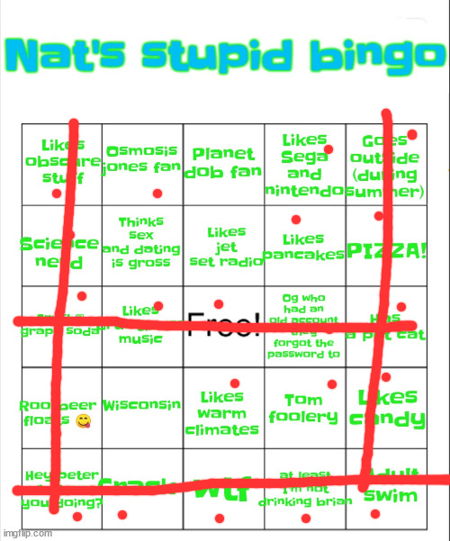 Nat's stupid bingo | image tagged in nat's stupid bingo | made w/ Imgflip meme maker