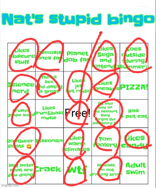 Nat's stupid bingo | image tagged in nat's stupid bingo | made w/ Imgflip meme maker