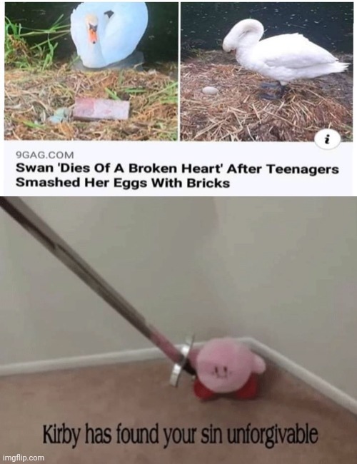 NOOOOOOOO, NOT THE SWAN | image tagged in kirby has found your sin unforgivable,reposts,repost,memes,swans,swan | made w/ Imgflip meme maker