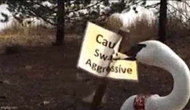 Caution Swan Is Agressive | image tagged in memes,you had one job,funny | made w/ Imgflip meme maker