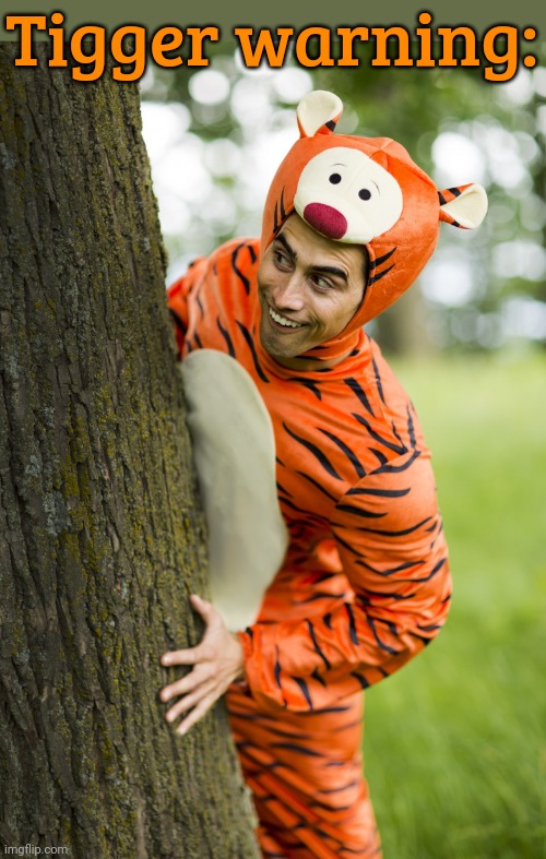 Good thing that there's only one. | Tigger warning: | image tagged in man in tigger costume,winnie the pooh,stuffed animal | made w/ Imgflip meme maker