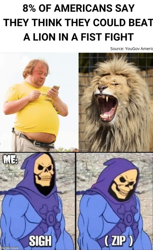 I'll raise you | ME: | image tagged in skeletor zip,funny | made w/ Imgflip meme maker