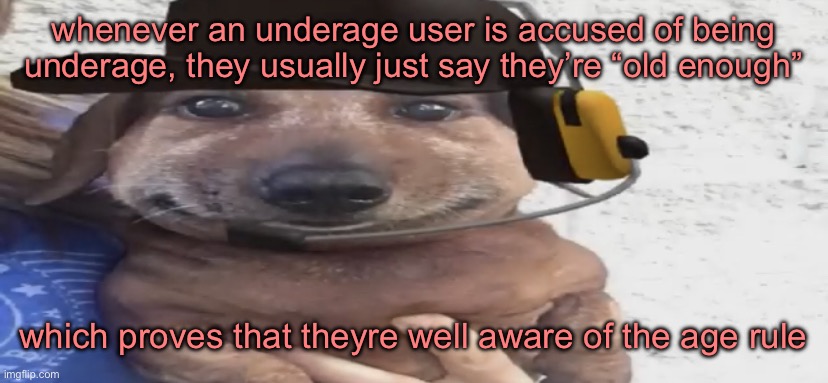 chucklenuts | whenever an underage user is accused of being underage, they usually just say they’re “old enough”; which proves that theyre well aware of the age rule | image tagged in chucklenuts | made w/ Imgflip meme maker