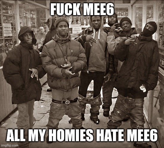 fr | FUCK MEE6 ALL MY HOMIES HATE MEE6 | image tagged in fuck x all my homies use y | made w/ Imgflip meme maker