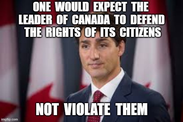 ONE  WOULD  EXPECT  THE  LEADER  OF  CANADA  TO  DEFEND  THE  RIGHTS  OF  ITS  CITIZENS; NOT  VIOLATE  THEM | image tagged in justin trudeau,traitor,canada,charter of rights | made w/ Imgflip meme maker