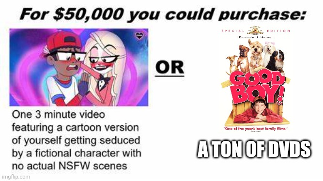 "For $50,000 you could purchase:" | A TON OF DVDS | image tagged in for 50 000 you could purchase,dvd,good boy | made w/ Imgflip meme maker