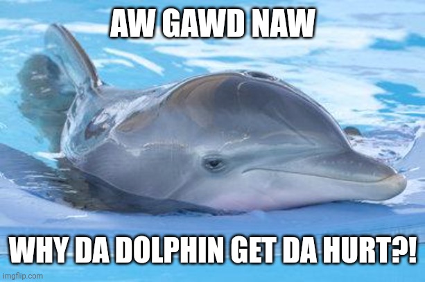 Oh god no! I feel like dolphins gets upset every time! | AW GAWD NAW; WHY DA DOLPHIN GET DA HURT?! | image tagged in promiscuous problems dolphin | made w/ Imgflip meme maker