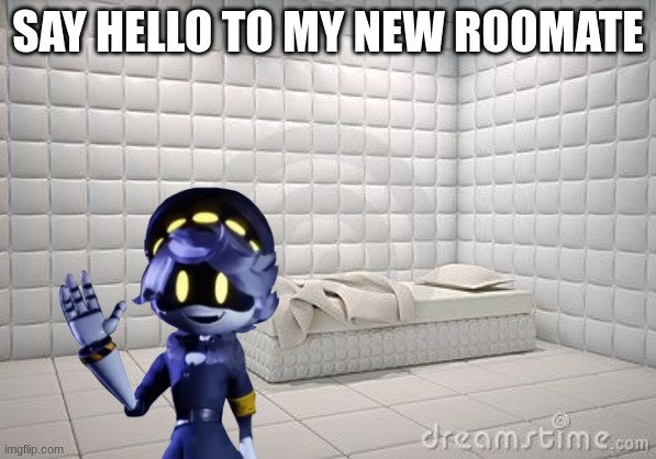 insane asylum pillow room | SAY HELLO TO MY NEW ROOMATE | image tagged in insane asylum pillow room | made w/ Imgflip meme maker