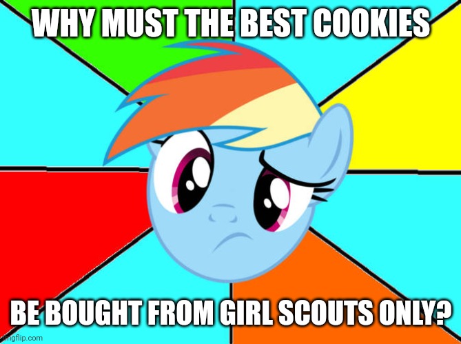 Rainbow Dash Confused | WHY MUST THE BEST COOKIES; BE BOUGHT FROM GIRL SCOUTS ONLY? | image tagged in rainbow dash confused,girl scout cookies,memes,rainbow dash,confusion,cookies | made w/ Imgflip meme maker
