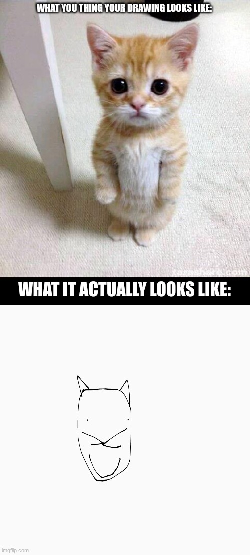 so true for me | WHAT YOU THING YOUR DRAWING LOOKS LIKE:; WHAT IT ACTUALLY LOOKS LIKE: | image tagged in memes,cute cat,funny,reality,cat,meme | made w/ Imgflip meme maker