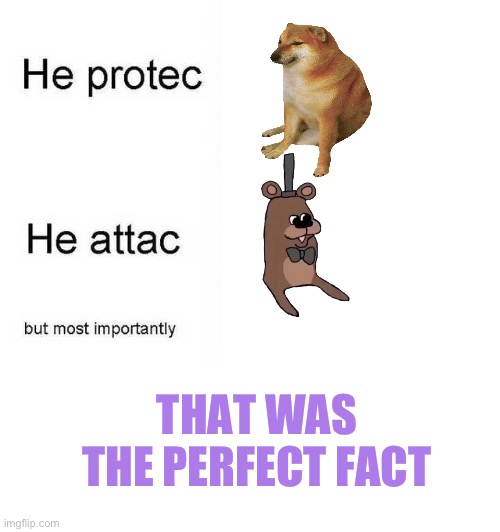 fax | THAT WAS THE PERFECT FACT | image tagged in fax | made w/ Imgflip meme maker