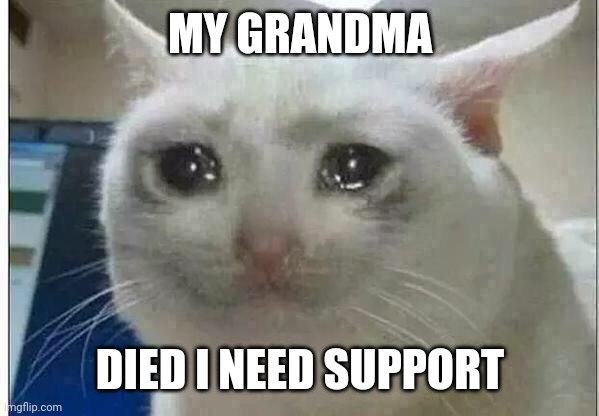 crying cat | MY GRANDMA; DIED I NEED SUPPORT | image tagged in crying cat | made w/ Imgflip meme maker