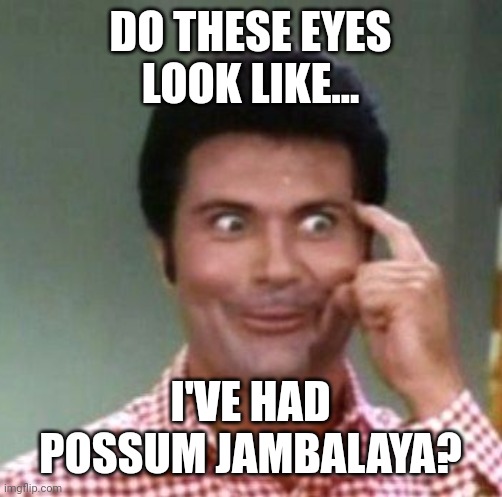 Possum face | DO THESE EYES LOOK LIKE... I'VE HAD POSSUM JAMBALAYA? | image tagged in jethro bodine beverly hillbillies,country,cooking | made w/ Imgflip meme maker