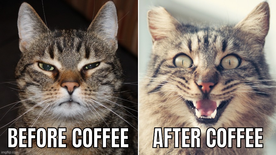 coffee | made w/ Imgflip meme maker