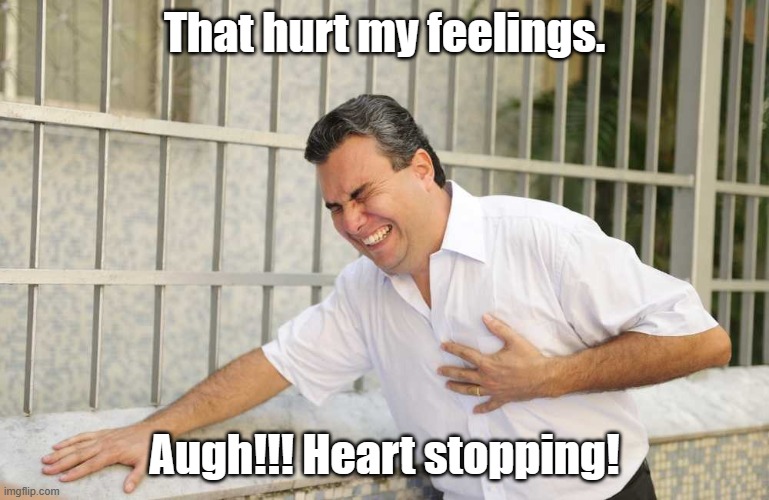 ouch | That hurt my feelings. Augh!!! Heart stopping! | image tagged in ouch | made w/ Imgflip meme maker
