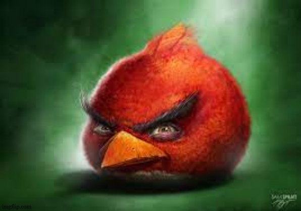 Realistic Red Angry Birds | image tagged in realistic red angry birds | made w/ Imgflip meme maker