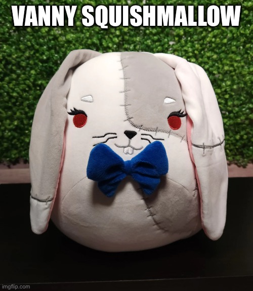 Found this on the internet | VANNY SQUISHMALLOW | made w/ Imgflip meme maker