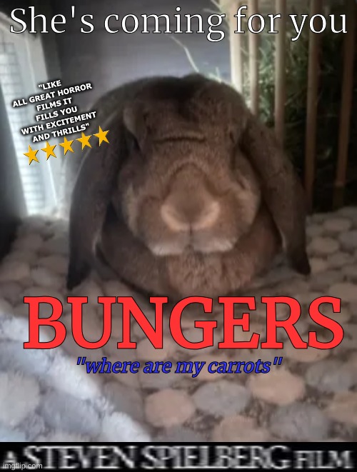 coming to theaters soon | She's coming for you; "LIKE ALL GREAT HORROR FILMS IT FILLS YOU WITH EXCITEMENT AND THRILLS"; BUNGERS; "where are my carrots" | made w/ Imgflip meme maker