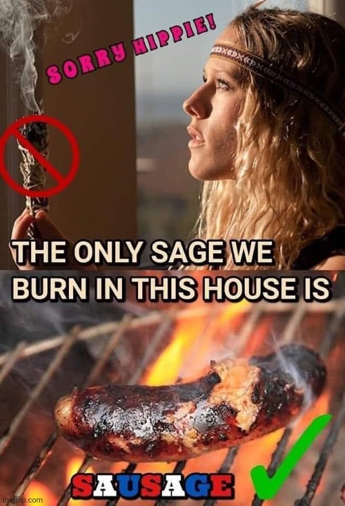 Sorry hippie we only burn sausage | image tagged in sorry hippie we only burn sausage | made w/ Imgflip meme maker
