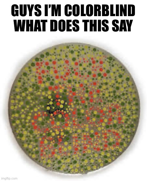 GUYS I’M COLORBLIND WHAT DOES THIS SAY | made w/ Imgflip meme maker