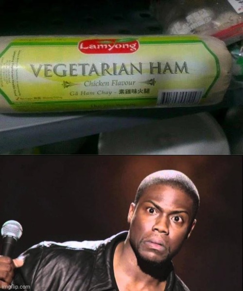 With Vegetarian Cheese and Mayo | image tagged in kevin heart idiot,vegetarian,well yes but actually no,make me a sandwich,eating healthy | made w/ Imgflip meme maker