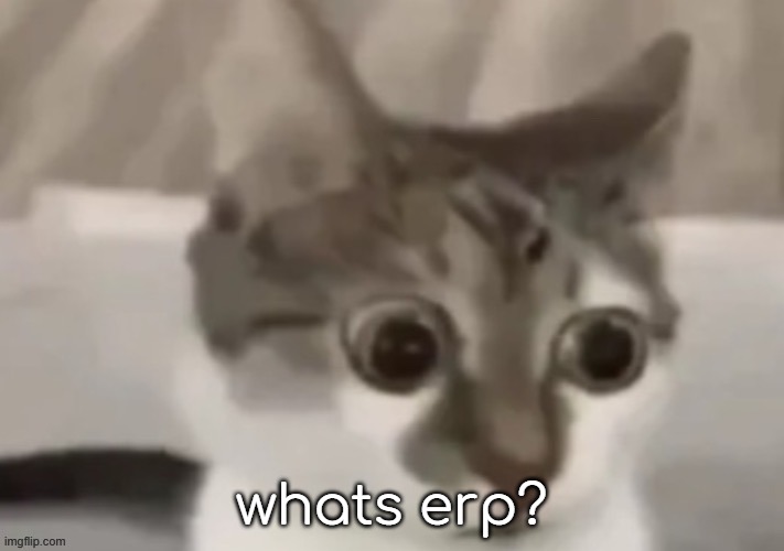 bombastic side eye cat | whats erp? | image tagged in bombastic side eye cat | made w/ Imgflip meme maker