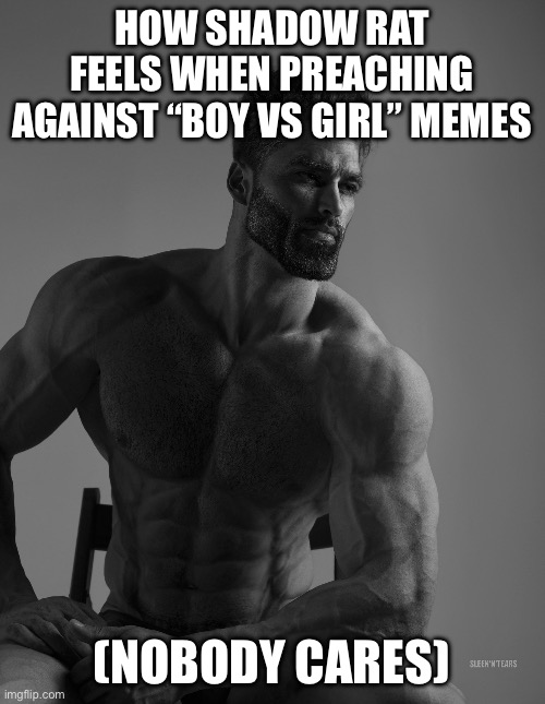 Giga Chad | HOW SHADOW RAT FEELS WHEN PREACHING AGAINST “BOY VS GIRL” MEMES; (NOBODY CARES) | image tagged in giga chad | made w/ Imgflip meme maker