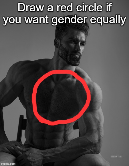 Giga Chad | Draw a red circle if you want gender equally | image tagged in giga chad | made w/ Imgflip meme maker