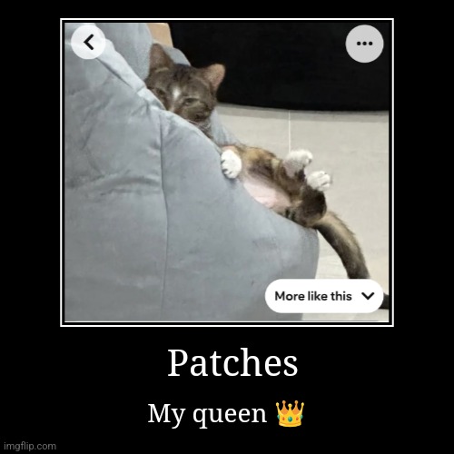 Patches Supremeacy | Patches | My queen ? | image tagged in patches,dsmp,dream | made w/ Imgflip demotivational maker