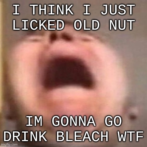 [[TERROR]] | I THINK I JUST LICKED OLD NUT; IM GONNA GO DRINK BLEACH WTF | image tagged in nikocado scream | made w/ Imgflip meme maker