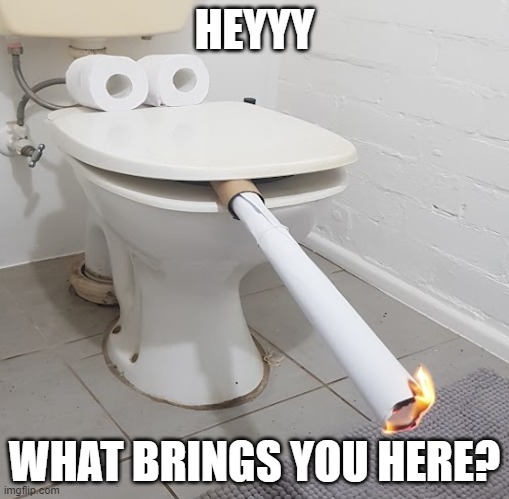 innocent/ignorant dunny | HEYYY; WHAT BRINGS YOU HERE? | image tagged in ignorant,innocent,toilet,toilet humor | made w/ Imgflip meme maker