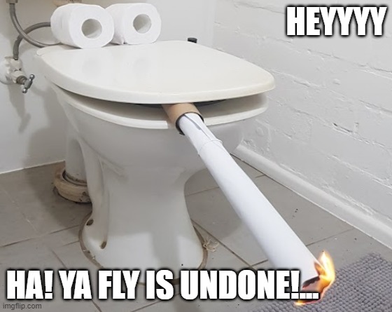 innocent/ignorant dunny. | HEYYYY; HA! YA FLY IS UNDONE!... | image tagged in ignorant,innocent | made w/ Imgflip meme maker