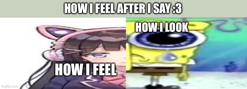 lol | HOW I FEEL AFTER I SAY :3; HOW I LOOK; HOW I FEEL | image tagged in lol | made w/ Imgflip meme maker