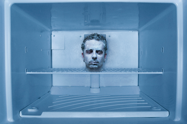 Man's Head in a Freezer Blank Meme Template