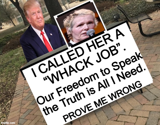 And the truth is that she is a "whack job"! | I CALLED HER A 
“WHACK JOB”. Our Freedom to Speak
the Truth is All I Need. PROVE ME WRONG | image tagged in donald trump,judgement,ridiculous,freedom of speech,witch hunt,we the people | made w/ Imgflip meme maker