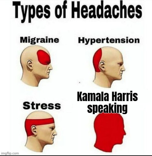 Types of Headaches meme | Kamala Harris 
speaking | image tagged in types of headaches meme | made w/ Imgflip meme maker