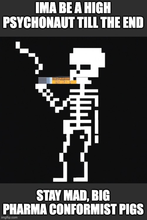 Pixelated Skeleton Smoking | IMA BE A HIGH PSYCHONAUT TILL THE END; STAY MAD, BIG PHARMA CONFORMIST PIGS | image tagged in pixelated skeleton smoking | made w/ Imgflip meme maker