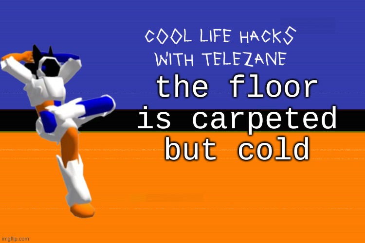 its weird help | the floor is carpeted but cold | image tagged in cool life hacks with telezane | made w/ Imgflip meme maker